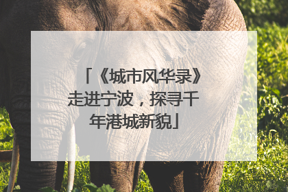 《城市风华录》走进宁波，探寻千年港城新貌