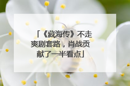 《藏海传》不走爽剧套路，肖战贡献了一半看点