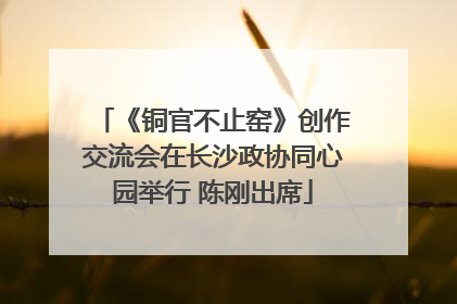 《铜官不止窑》创作交流会在长沙政协同心园举行 陈刚出席
