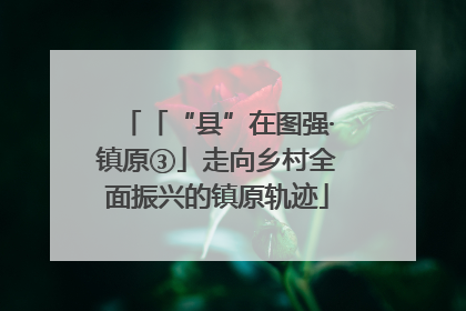 「“县”在图强·镇原③」走向乡村全面振兴的镇原轨迹