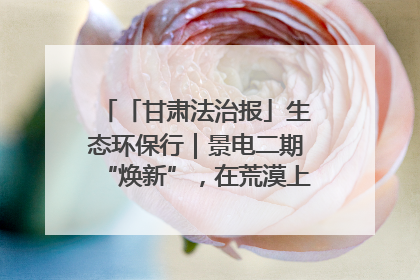 「甘肃法治报」生态环保行｜景电二期“焕新”，在荒漠上筑起一道绿色长城