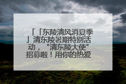 「东陵清风消夏季」清东陵暑期特别活动，“清东陵大使”招募啦！用你的热爱守护世界遗产！