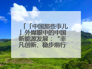 「中国那些事儿」外媒眼中的中国新能源发展：“非凡创新、稳步前行、需求侧强劲”