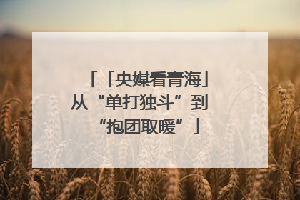 「央媒看青海」从“单打独斗”到“抱团取暖”