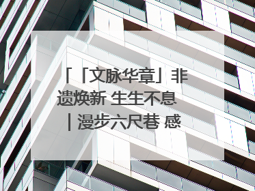 「文脉华章」非遗焕新 生生不息｜漫步六尺巷 感受礼让文化浸润的“巷”往生活