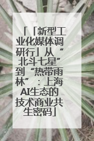 「新型工业化媒体调研行」从“北斗七星”到“热带雨林”：上海AI生态的技术商业共生密码