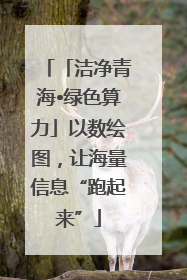 「洁净青海•绿色算力」以数绘图，让海量信息“跑起来”