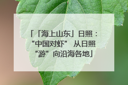 「海上山东」日照：“中国对虾” 从日照“游”向沿海各地
