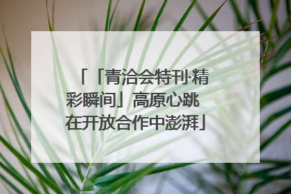 「青洽会特刊·精彩瞬间」高原心跳 在开放合作中澎湃