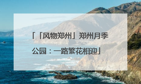 「风物郑州」郑州月季公园：一路繁花相迎
