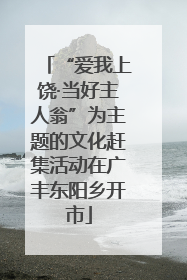 “爱我上饶·当好主人翁”为主题的文化赶集活动在广丰东阳乡开市