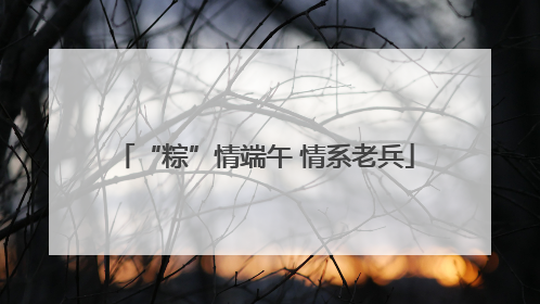 “粽”情端午 情系老兵