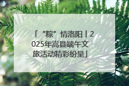 “粽”情洛阳丨2025年嵩县端午文旅活动精彩纷呈