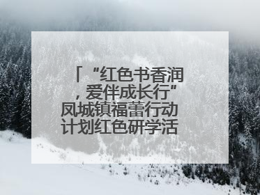 “红色书香润，爱伴成长行”凤城镇福蕾行动计划红色研学活动圆满结束