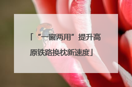 “一窗两用”提升高原铁路换枕新速度