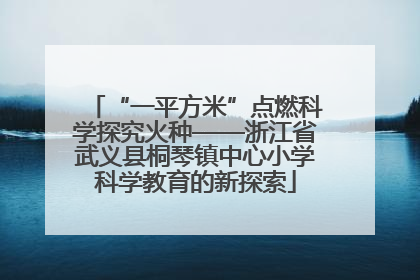 “一平方米”点燃科学探究火种——浙江省武义县桐琴镇中心小学科学教育的新探索