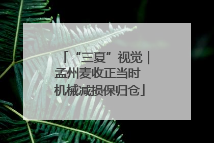 “三夏”视觉｜孟州麦收正当时 机械减损保归仓