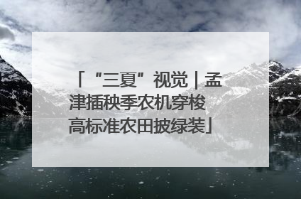 “三夏”视觉｜孟津插秧季农机穿梭 高标准农田披绿装