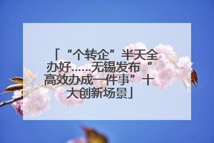 “个转企”半天全办好……无锡发布“高效办成一件事”十大创新场景