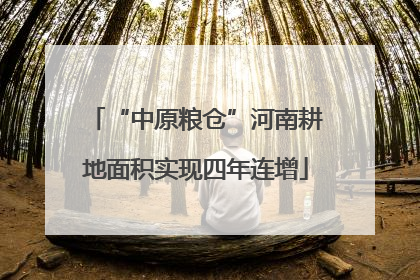 “中原粮仓”河南耕地面积实现四年连增
