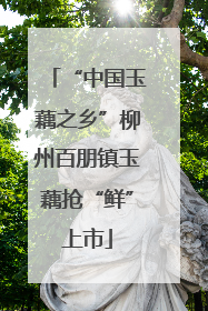 “中国玉藕之乡”柳州百朋镇玉藕抢“鲜”上市