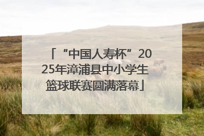 “中国人寿杯”2025年漳浦县中小学生篮球联赛圆满落幕