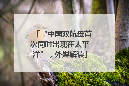 “中国双航母首次同时出现在太平洋”，外媒解读