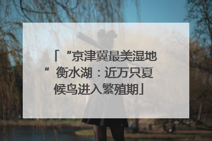 “京津冀最美湿地”衡水湖：近万只夏候鸟进入繁殖期