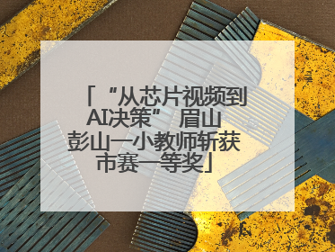 “从芯片视频到AI决策” 眉山彭山一小教师斩获市赛一等奖