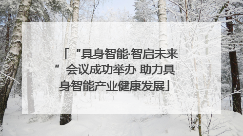 “具身智能·智启未来”会议成功举办 助力具身智能产业健康发展