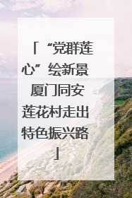 “党群莲心”绘新景 厦门同安莲花村走出特色振兴路