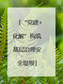 “党建+化解”构筑基层治理安全堤坝