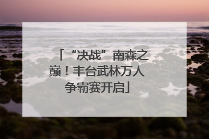 “决战”南森之巅！丰台武林万人争霸赛开启