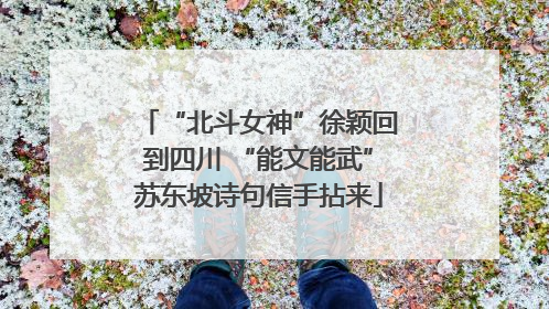 “北斗女神”徐颖回到四川 “能文能武”苏东坡诗句信手拈来