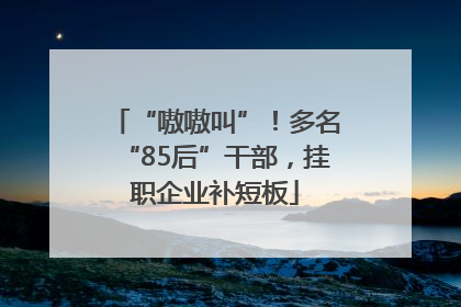 “嗷嗷叫”！多名“85后”干部，挂职企业补短板