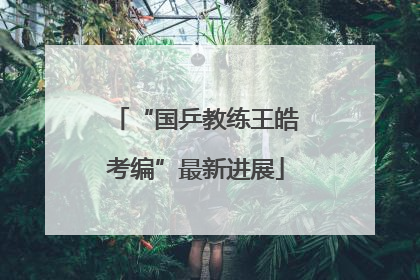 “国乒教练王皓考编”最新进展