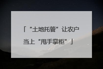 “土地托管”让农户当上“甩手掌柜”