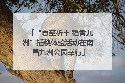 “夏至祈丰·稻香九洲”插秧体验活动在南昌九洲公园举行