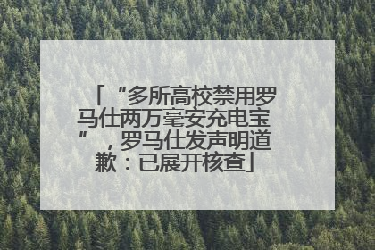 “多所高校禁用罗马仕两万毫安充电宝”，罗马仕发声明道歉：已展开核查