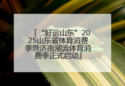 “好运山东”2025山东省体育消费季暨济南潮流体育消费季正式启动