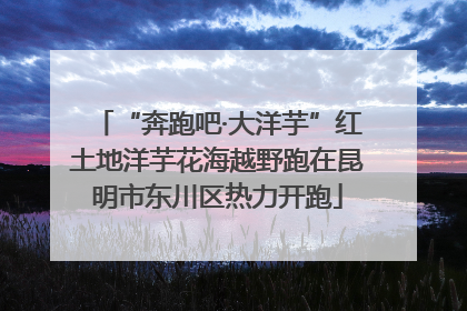 “奔跑吧·大洋芋”红土地洋芋花海越野跑在昆明市东川区热力开跑