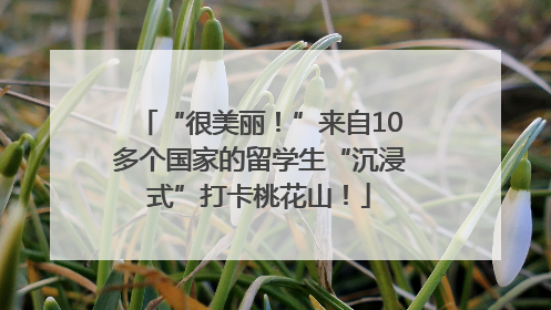 “很美丽！”来自10多个国家的留学生“沉浸式”打卡桃花山！