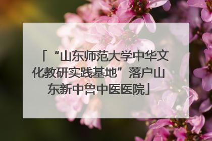 “山东师范大学中华文化教研实践基地”落户山东新中鲁中医医院