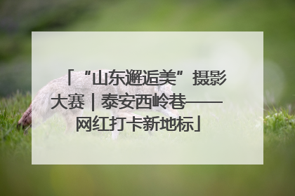 “山东邂逅美”摄影大赛｜泰安西岭巷——网红打卡新地标