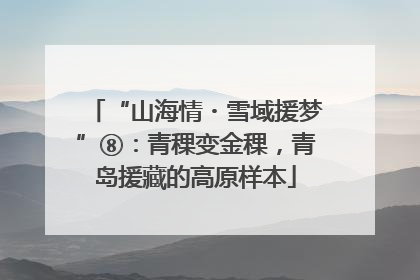 “山海情・雪域援梦”⑧：青稞变金稞，青岛援藏的高原样本