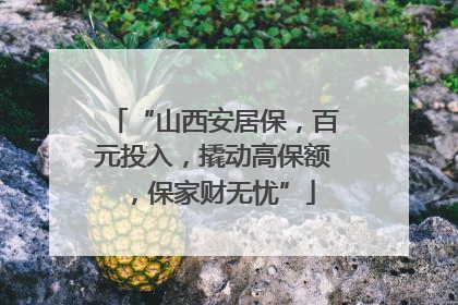 “山西安居保，百元投入，撬动高保额，保家财无忧”