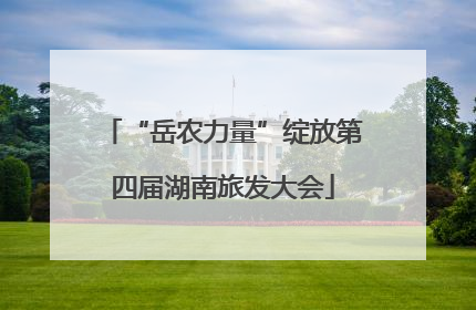 “岳农力量”绽放第四届湖南旅发大会