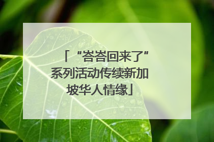 “峇峇回来了”系列活动传续新加坡华人情缘