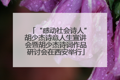 “感动社会诗人”胡少杰诗意人生宣讲会暨胡少杰诗词作品研讨会在西安举行