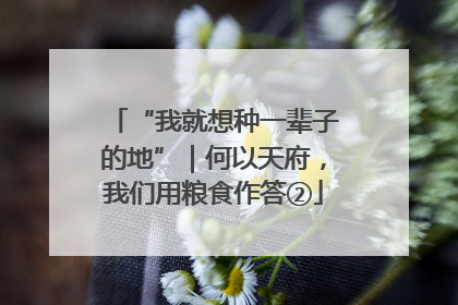 “我就想种一辈子的地”｜何以天府，我们用粮食作答②